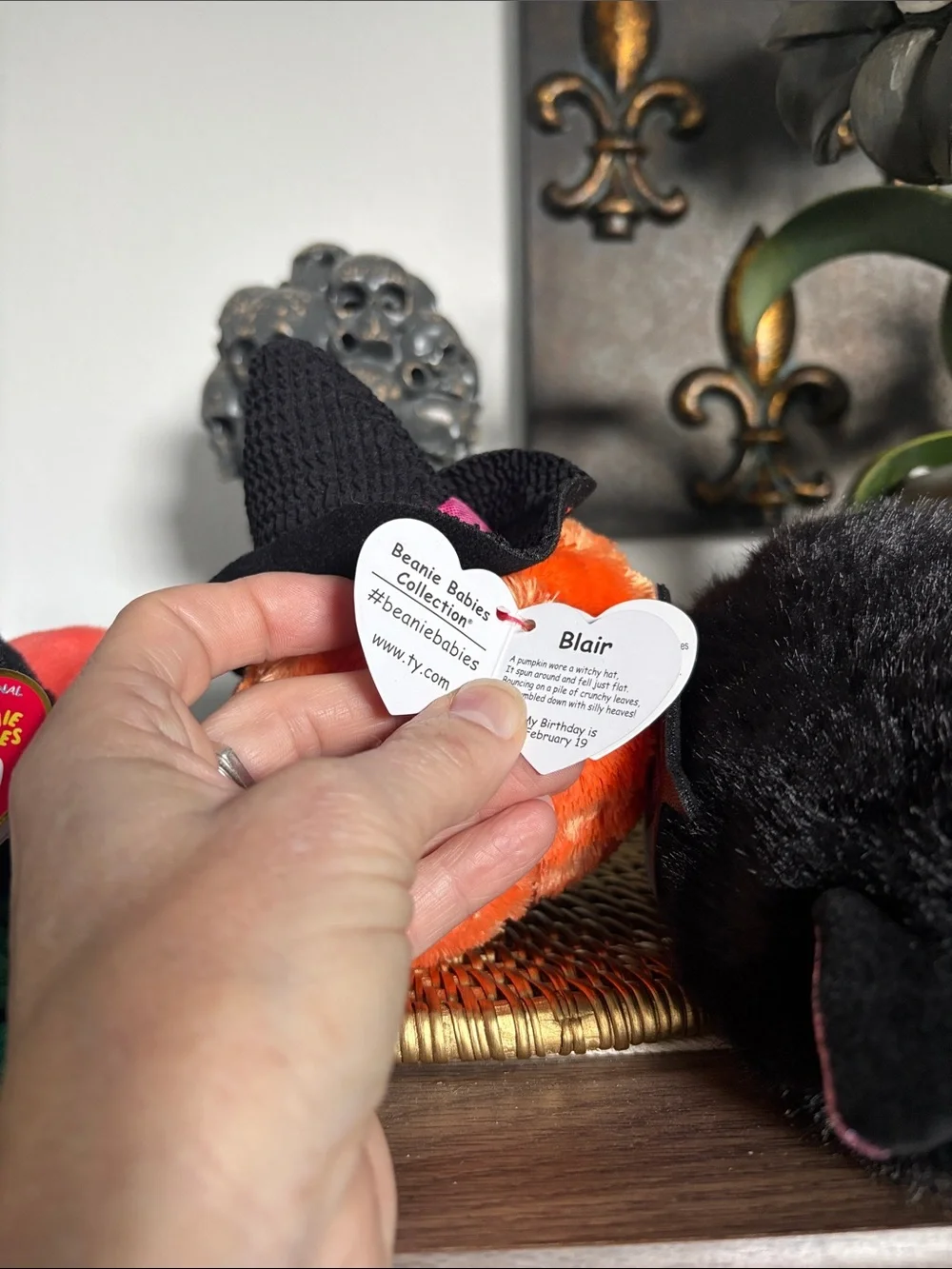 🆕2026 Ty Beanie Babies, Bundle Of 3